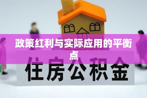 阿城政策红利与实际应用的平衡点