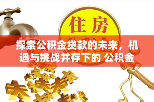 阿城探索公积金贷款的未来，机遇与挑战并存下的 公积金贷款风险防控