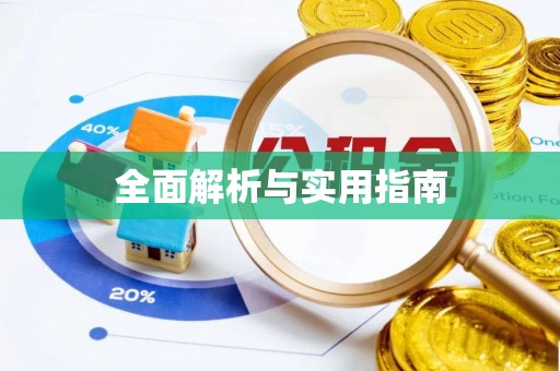阿城全面解析与实用指南