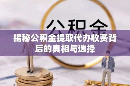 阿城揭秘公积金提取代办收费背后的真相与选择