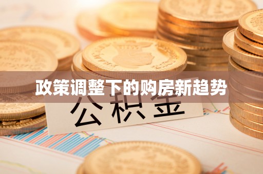 阿城政策调整下的购房新趋势