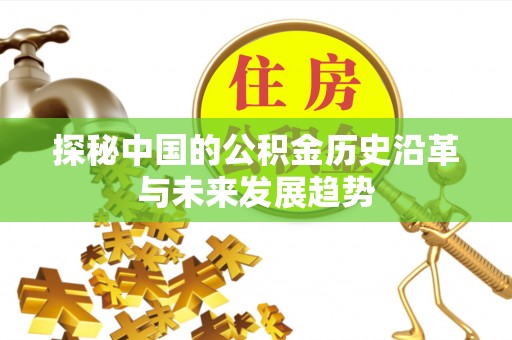 阿城探秘中国的公积金历史沿革与未来发展趋势