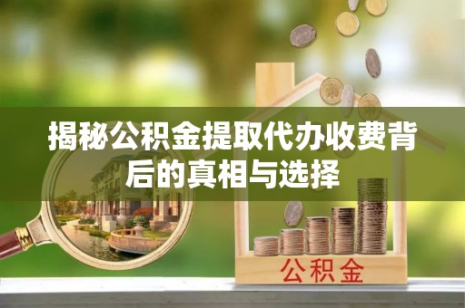 阿城揭秘公积金提取代办收费背后的真相与选择