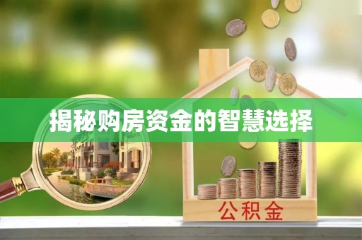 阿城揭秘购房资金的智慧选择