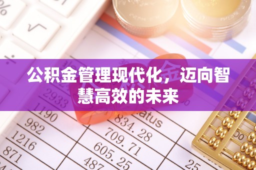 阿城公积金管理现代化，迈向智慧高效的未来