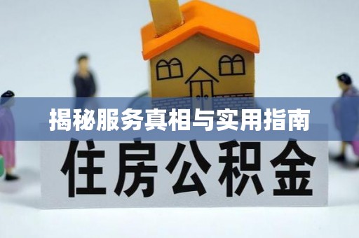 阿城揭秘服务真相与实用指南