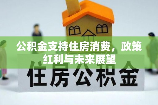 阿城公积金支持住房消费，政策红利与未来展望