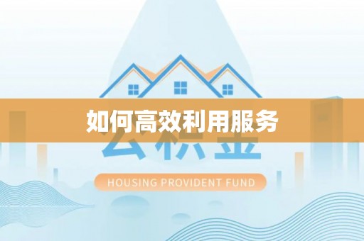 阿城如何高效利用服务