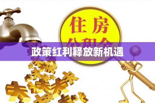 阿城政策红利释放新机遇