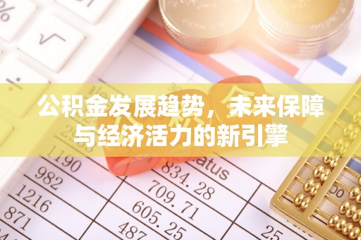 阿城公积金发展趋势，未来保障与经济活力的新引擎