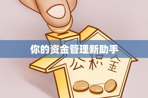 阿城你的资金管理新助手