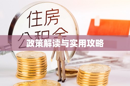 阿城政策解读与实用攻略