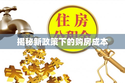 阿城揭秘新政策下的购房成本
