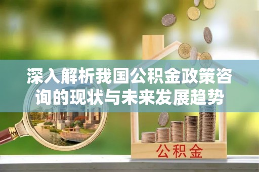 阿城深入解析我国公积金政策咨询的现状与未来发展趋势