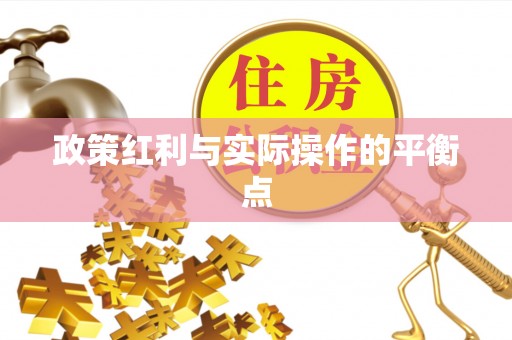 阿城政策红利与实际操作的平衡点
