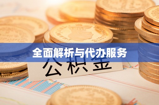 阿城全面解析与代办服务