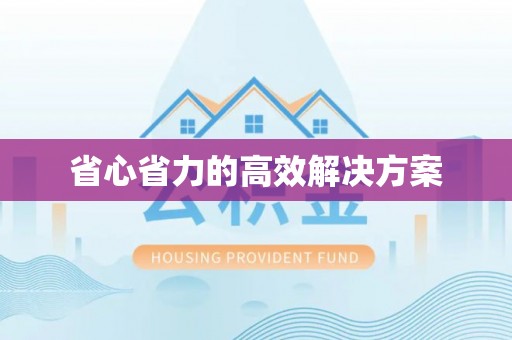 阿城省心省力的高效解决方案