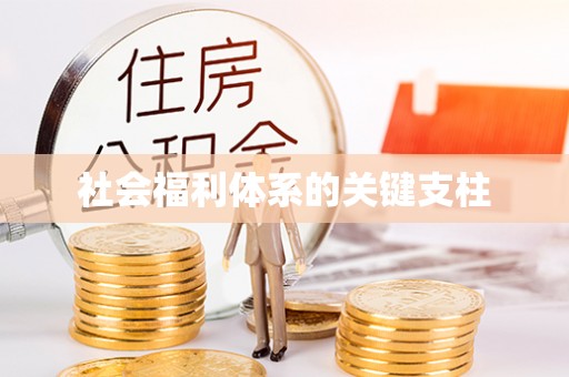 阿城社会福利体系的关键支柱
