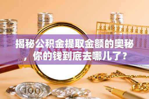 阿城揭秘公积金提取金额的奥秘，你的钱到底去哪儿了？