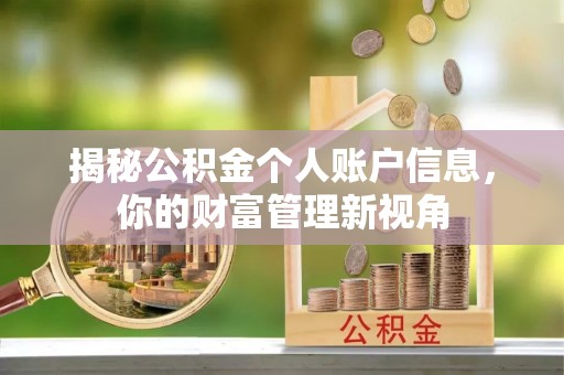阿城揭秘公积金个人账户信息，你的财富管理新视角