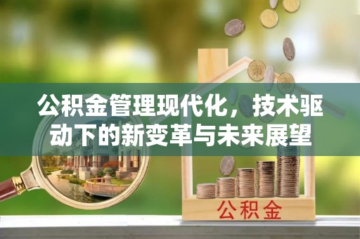 阿城公积金管理现代化，技术驱动下的新变革与未来展望