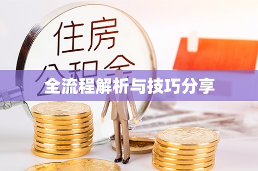 阿城全流程解析与技巧分享
