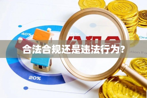 阿城合法合规还是违法行为？