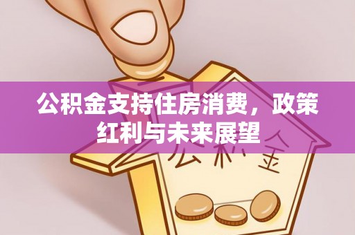 阿城公积金支持住房消费，政策红利与未来展望