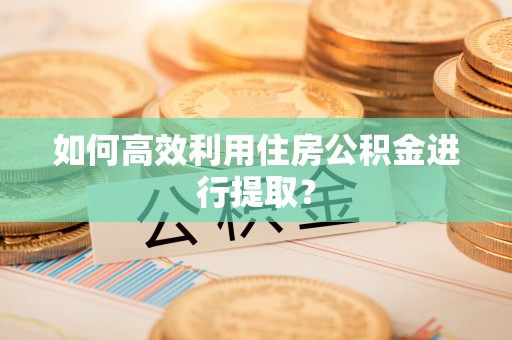 阿城如何高效利用住房公积金进行提取？