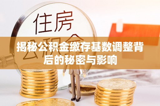 阿城揭秘公积金缴存基数调整背后的秘密与影响