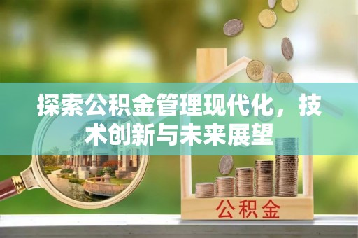 阿城探索公积金管理现代化，技术创新与未来展望
