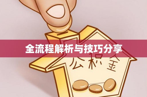 阿城全流程解析与技巧分享