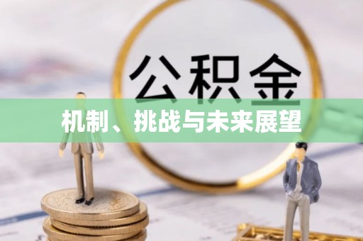 阿城机制、挑战与未来展望