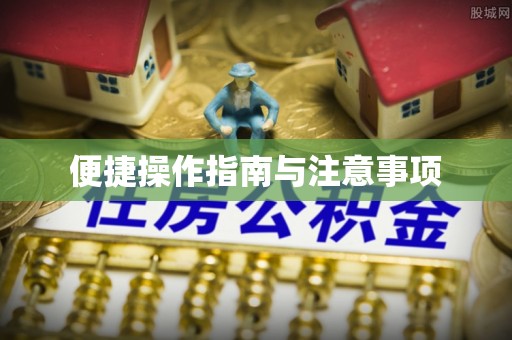 阿城便捷操作指南与注意事项